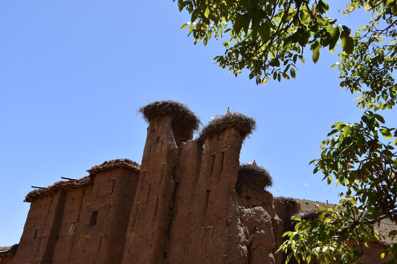 Maison D'Hotes Dar Afra Ait Ziri Exterior foto
